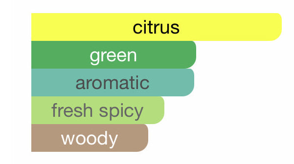 Xerjoff Renaissance PERVARA