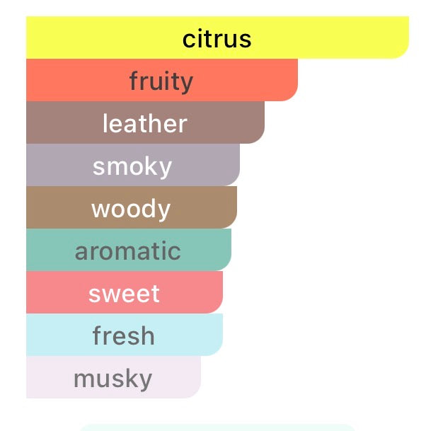 Armaf Club de Nuit Intense Man – Eau de Parfum