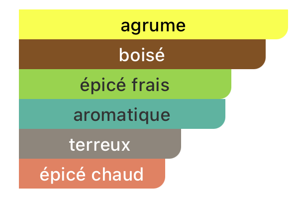 Hermès Terre d'Hermès – Eau de Toilette 100ml