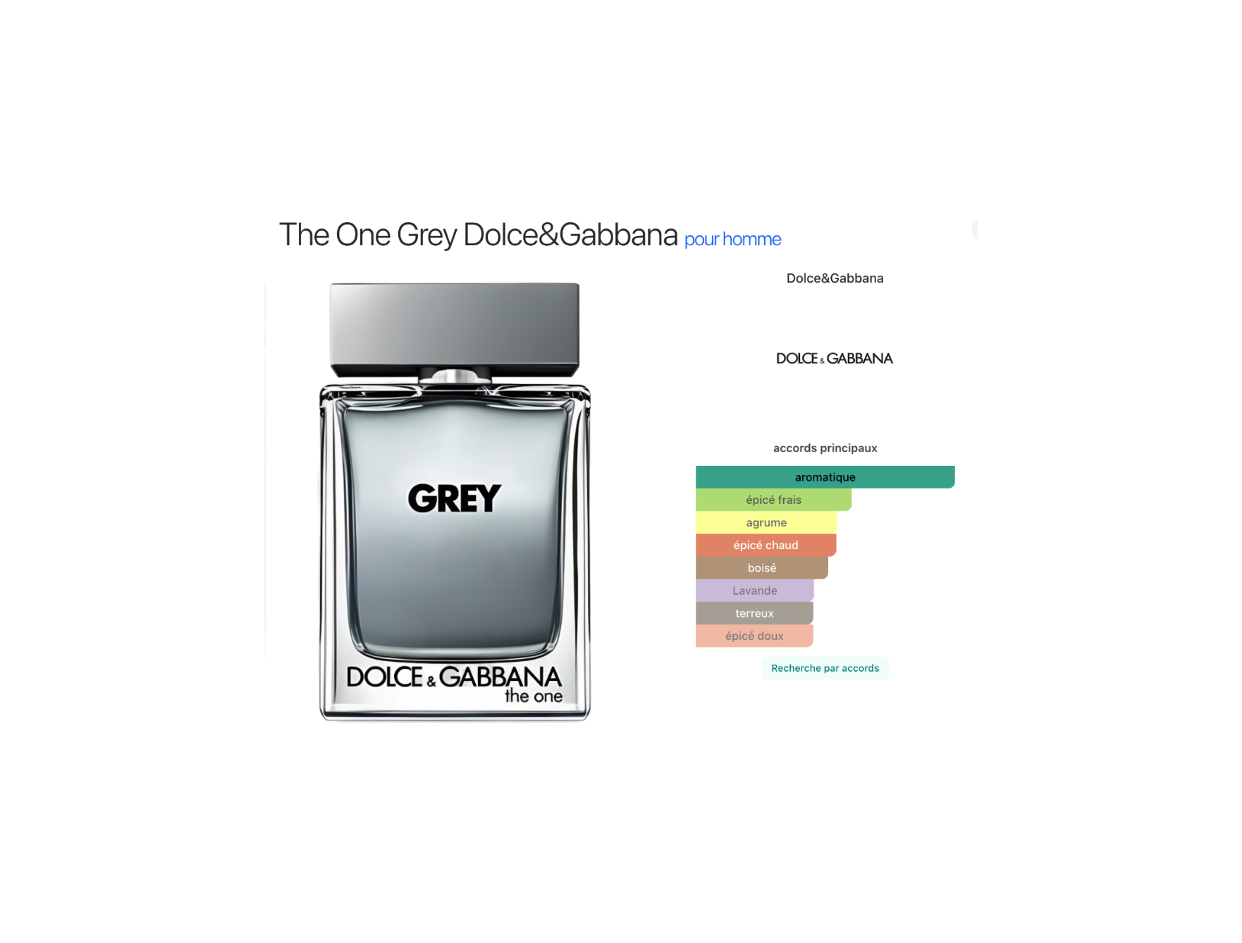 Dolce&Gabbana The One Grey – Eau de Toilette Intense 100 ml pour Homme